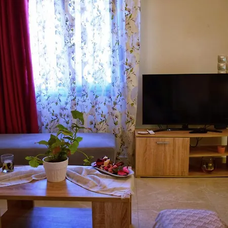 Appartement Dolphins House *